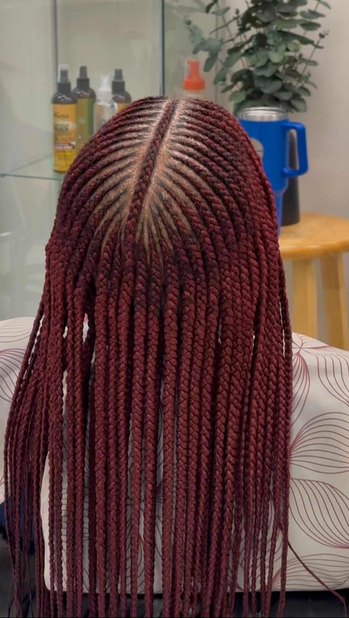 Fulanni Braids