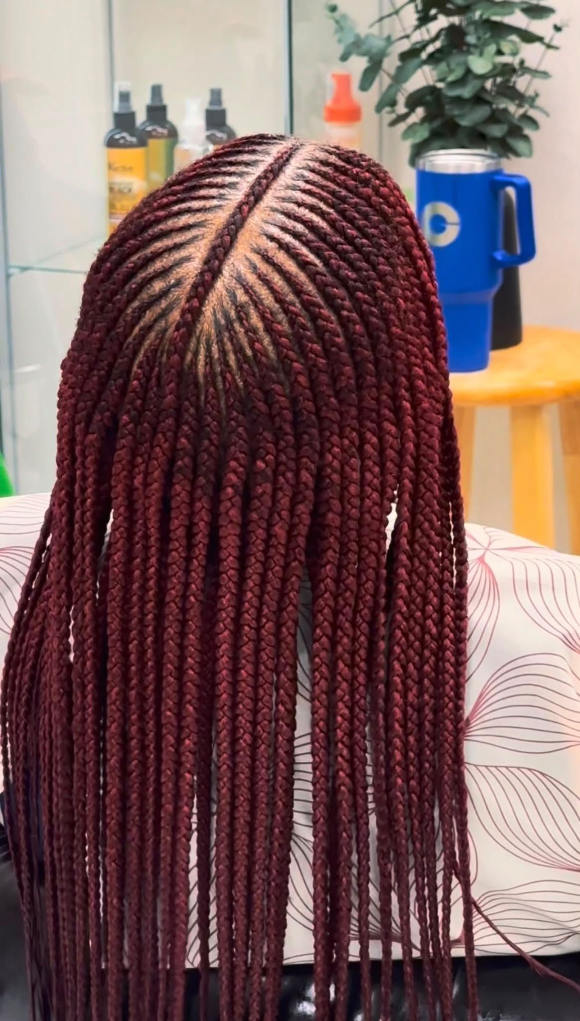 Fulani Braid